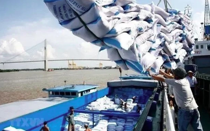 Rice exports to set record turnover of US$5 billion in 2024